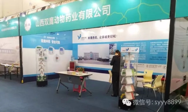 双鹰强我“长治造”!