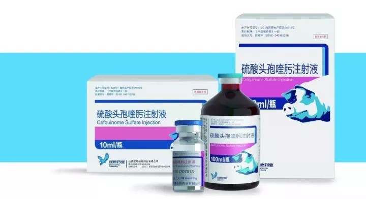 新品推出-硫酸头孢喹肟注射液