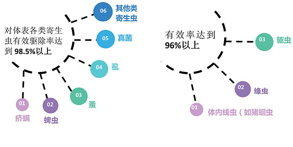 【精选】敖特尔—驱虫革命