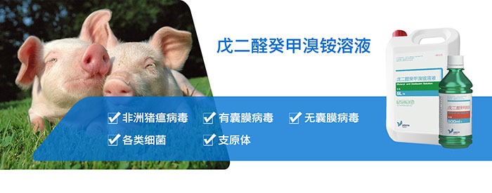 【精选】双鹰双效戊二醛，抗击非瘟不二选