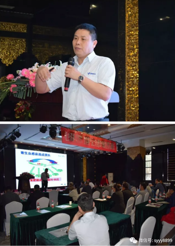 “回报于行、感恩于心”，双鹰药业.驱虫双雄上市发布会暨2019核心经销商高峰论坛圆满落幕！