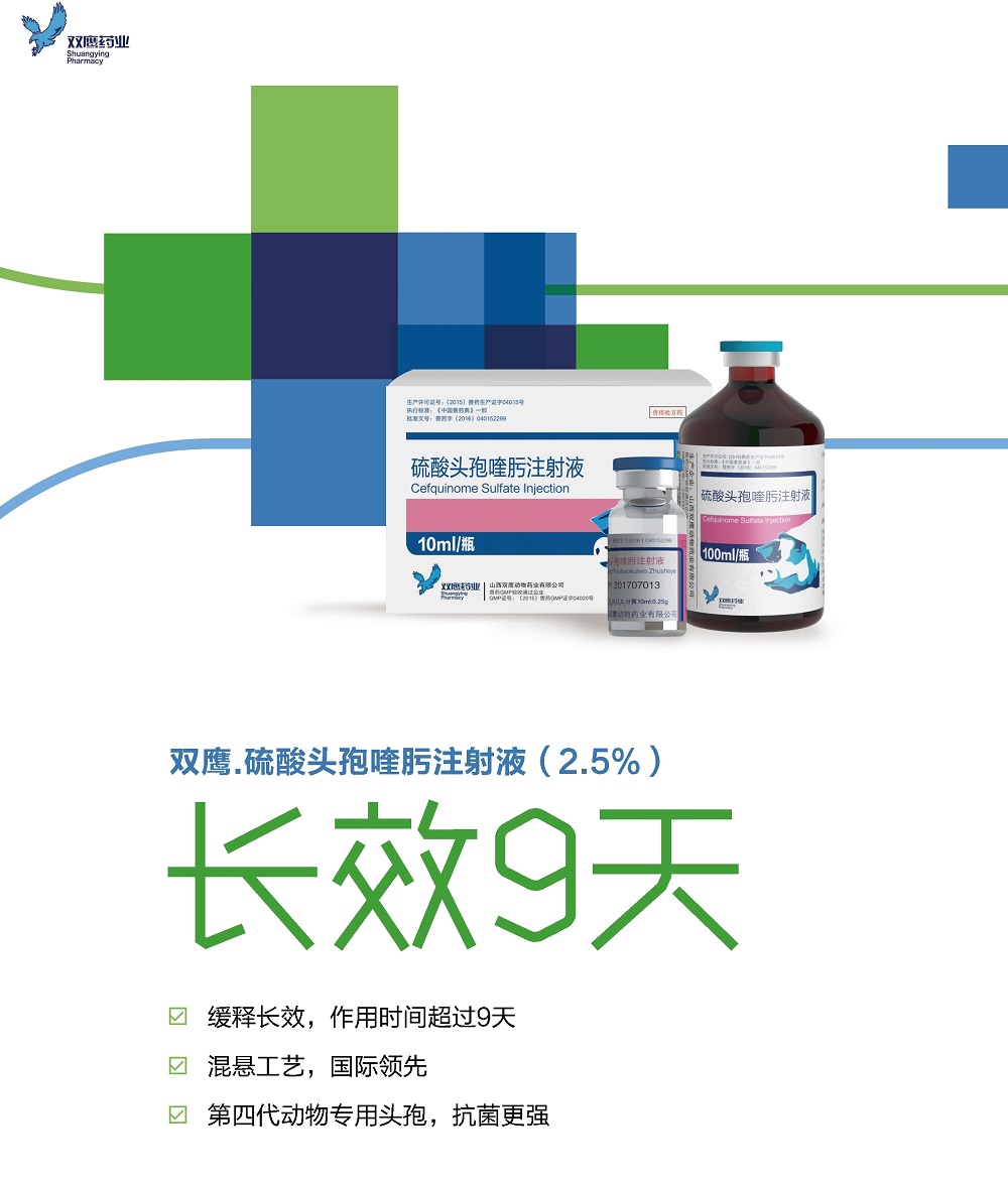 双鹰.硫酸头孢喹肟注射液