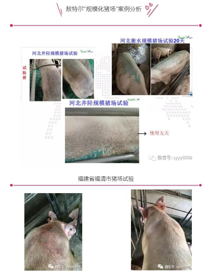 规模化猪场“三维驱虫”操作手册